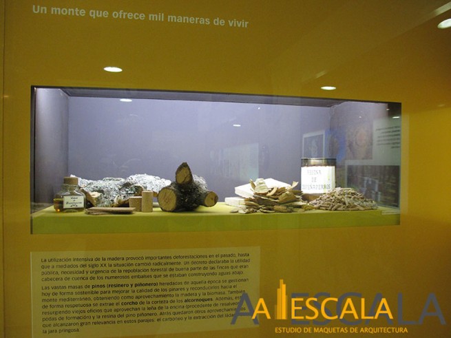 diorama madera pote resina