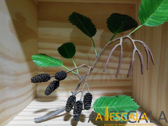 reproduccion vegetacion